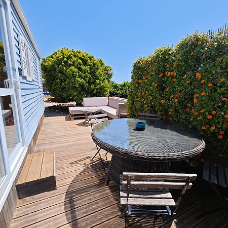 Casa Azul-Tiny House With Fantastic View, Big Outdoor Space And Pool ซิลเวส ภายนอก รูปภาพ
