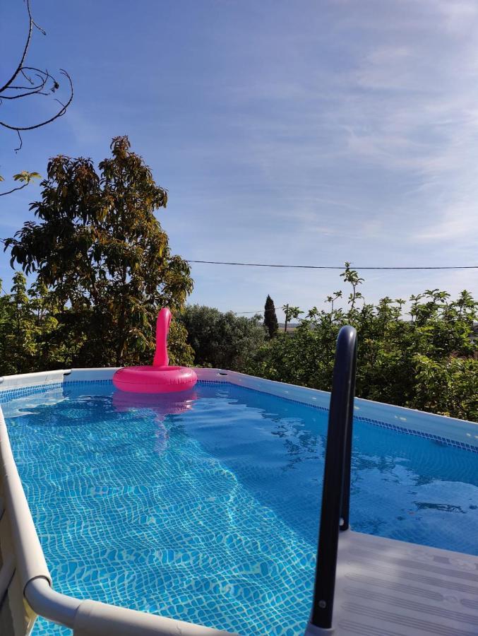 Casa Azul-Tiny House With Fantastic View, Big Outdoor Space And Pool ซิลเวส ภายนอก รูปภาพ